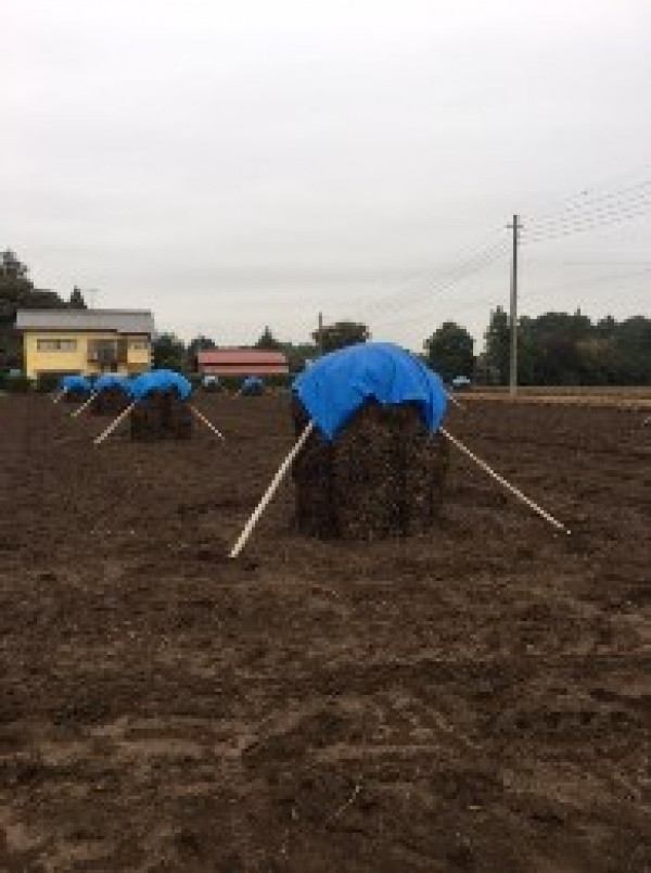 ゴルフはできることから始めようサムネイル