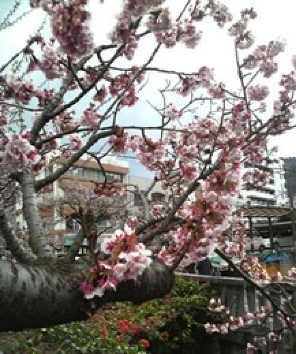 雨はゴルフ場の芝には必要サムネイル