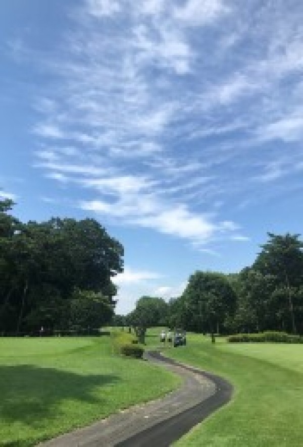 女子ゴルフツアー今年の初戦！渡辺彩香選手が復活優勝！サムネイル